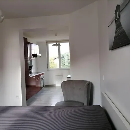 Apartment Le Clos 3 Studio Tout Confort *